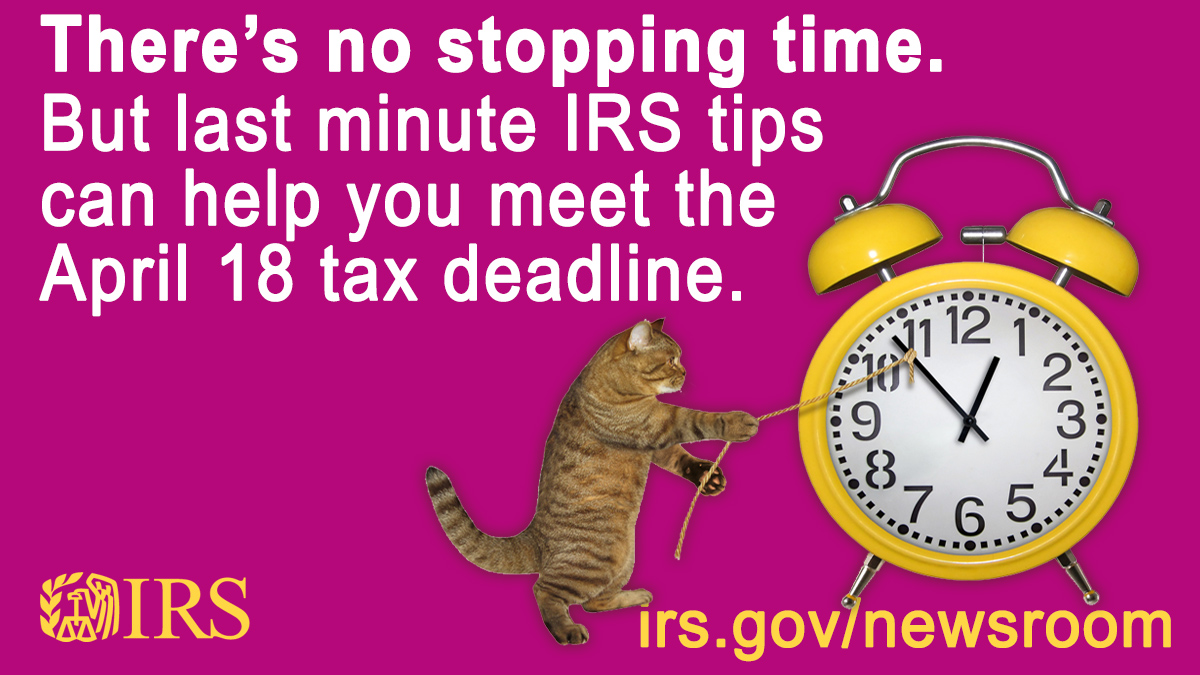 IRS-Tax-Season-2022.jpg