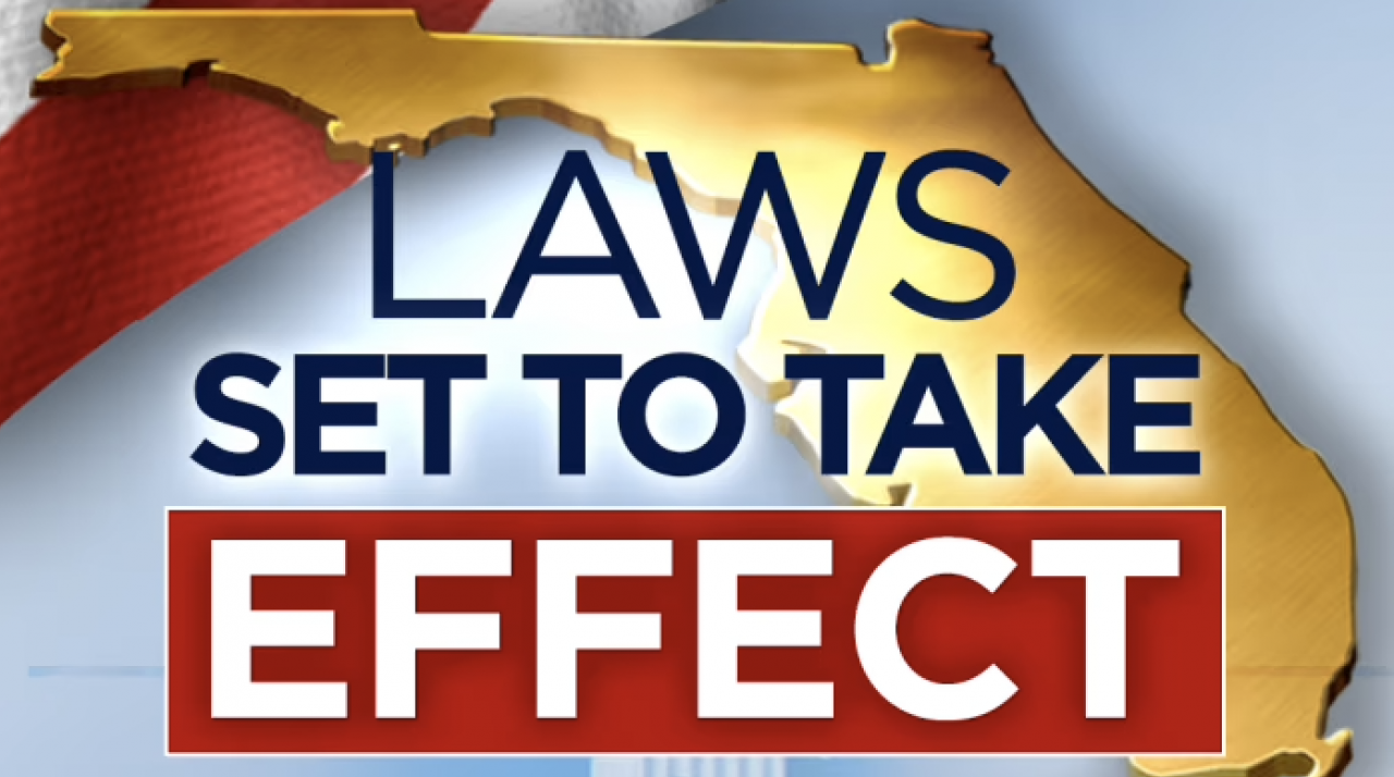 laws-florida-1280x714.png